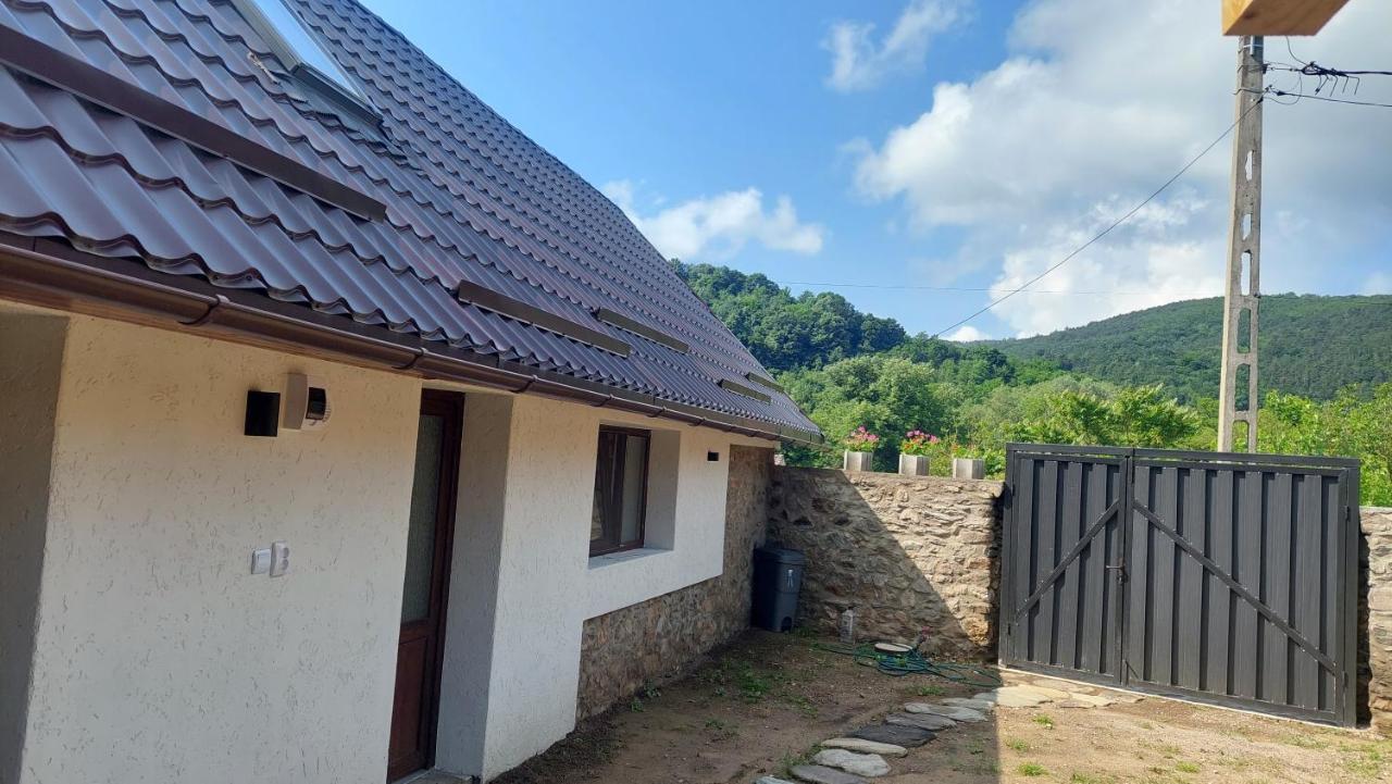 Casa Noua Sasca Montană Exterior foto