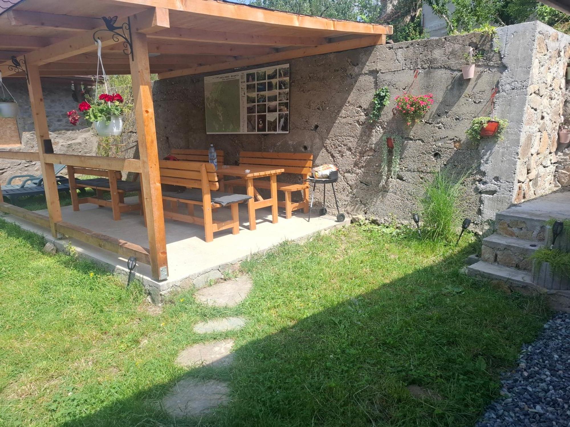 Casa Noua Sasca Montană Exterior foto